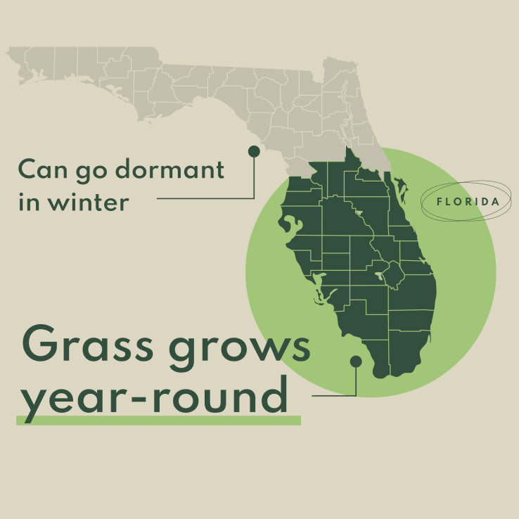 South Florida Lawn Plan Bi-Monthly